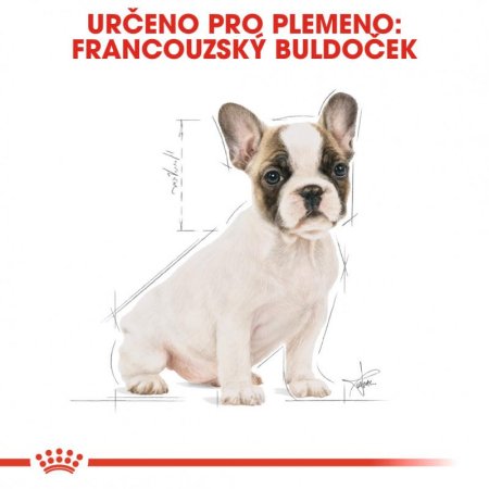 Royal Canin Francúzsky Buldoček Puppy 3 kg