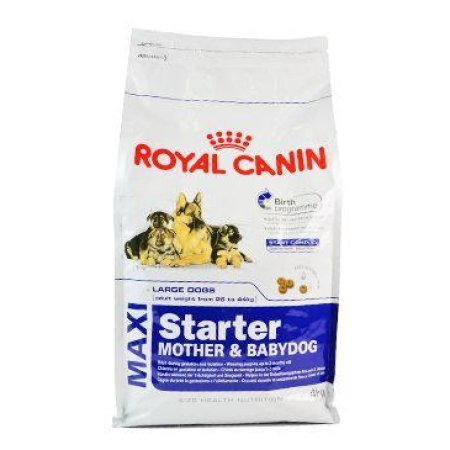 Royal Canin Maxi Starter 4 kg