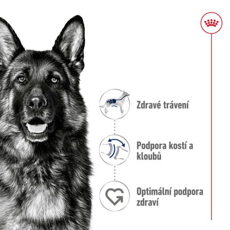 Royal Canin Maxi Adult 4 kg