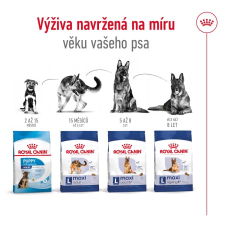 Royal Canin Maxi Adult 4 kg