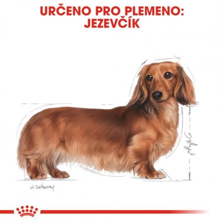 Royal Canin Jazvečík 500 g