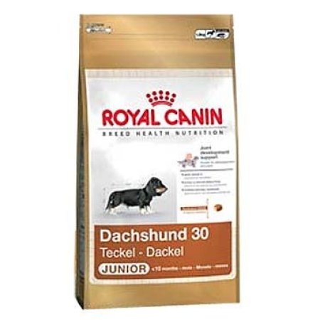 Royal Canin Jazvečík Puppy 1,5 kg