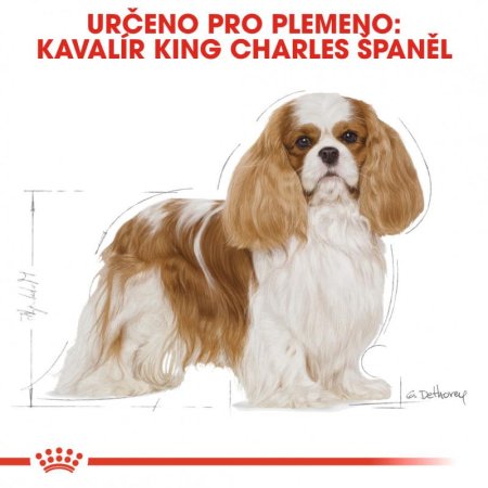 Royal Canin Cavalier King Charles 1,5 kg