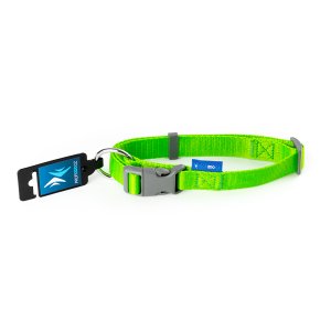 PROFIZOO Obojok popruh JEDNOBAREVNÝ (25mm x 40-66cm) zelená
