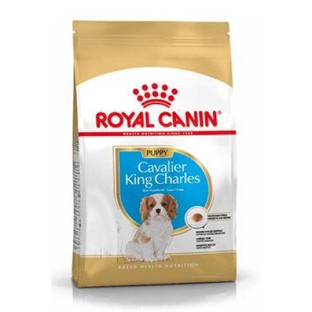 Royal Canin Cavalier King Charles Junior 1,5 kg