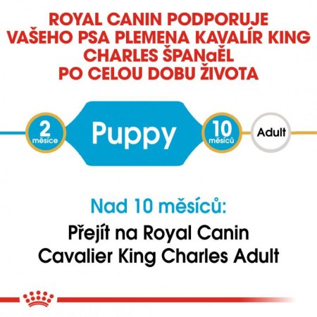 Royal Canin Cavalier King Charles Junior 1,5 kg