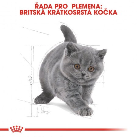 Royal Canin Kitten British Shorthair 400 g