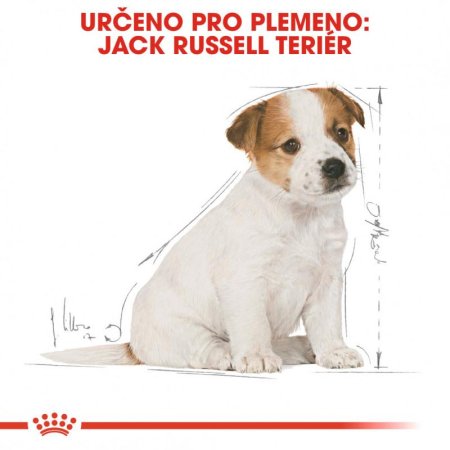 Royal Canin Jack Russel Puppy 1,5 kg