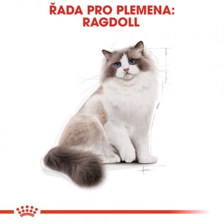 Royal Canin Ragdoll 10 kg