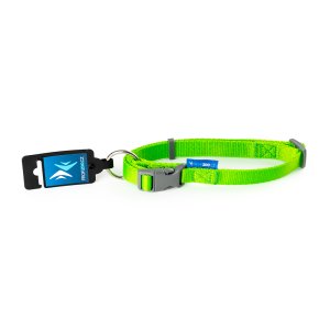 PROFIZOO Obojok popruh JEDNOBAREVNÝ (20mm x 38-60cm) zelená