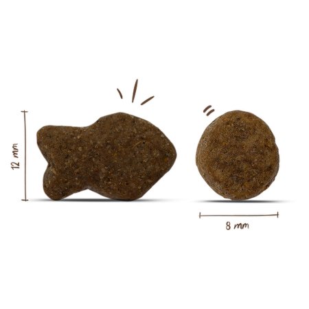 Bosch Adult Fish & Potato 15 kg