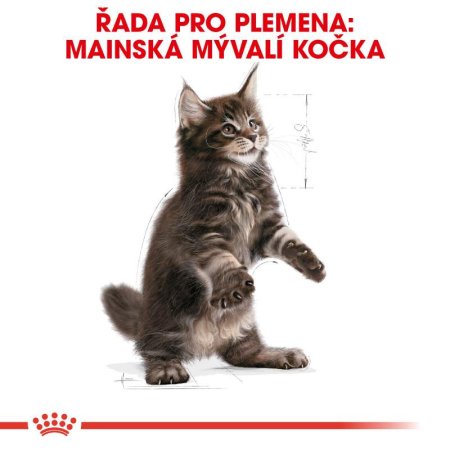 Royal Canin Kitten Maine Coon 2 kg