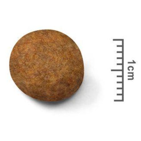 Royal Canin Maxi Puppy 4 kg