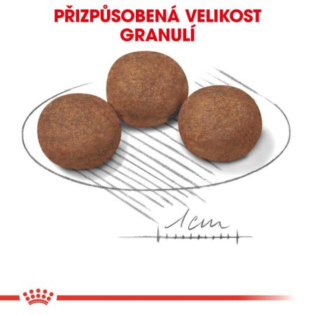 Royal Canin Medium Puppy 1 kg