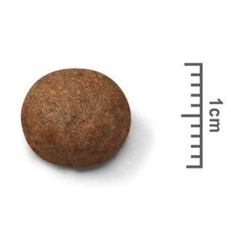 Royal Canin Medium Puppy 1 kg