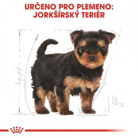 Royal Canin Yorkshire Puppy 1,5 kg