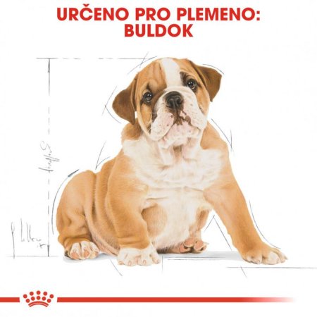 Royal Canin Bulldog Puppy 12 kg