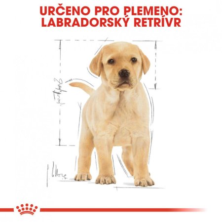 Royal Canin Labrador Retriever Puppy 3 kg
