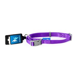 PROFIZOO Obojok popruh JEDNOBAREVNÝ (20mm x 38 – 60 cm) fialová