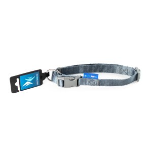 PROFIZOO Obojok popruh JEDNOBAREVNÝ (20mm x 38 – 60 cm) sivá