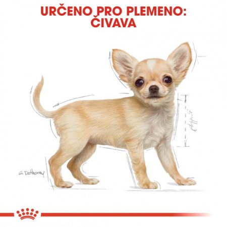 Royal Canin Čivava Puppy 500 g
