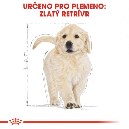 Royal Canin Zlatý Retriever Puppy 12 kg