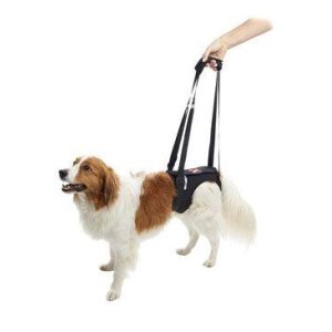 Postroj zdvíhací Rehab na zadné nohy XS KRUUSE