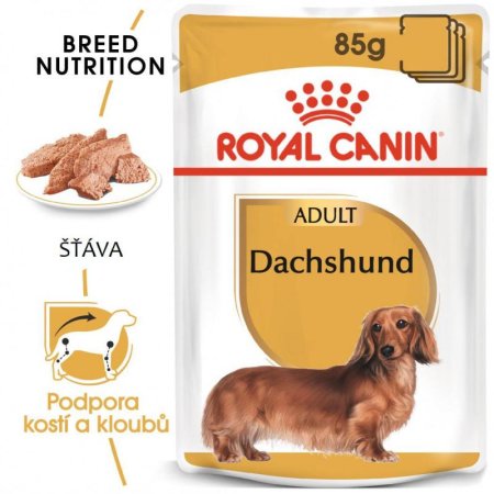 Royal Canin Dachshund kapsičky 12 x 85 g