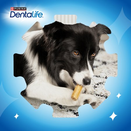 Purina Dentalife Large 142 g
