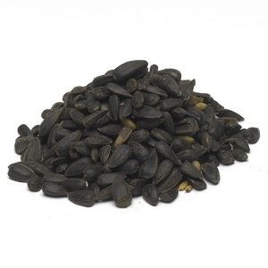 PROFIZOO Slnečnica čierna 5 kg