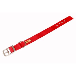 PROFIZOO Obojok classik, popruh JEDNOBAREVNÝ (45mm x 75cm) červená