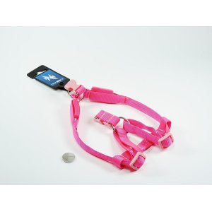PROFIZOO Svietiaci postroj, popruh (15mm) ružová