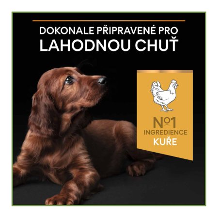 PRE PLAN Small & Mini Puppy Healthy Start granule pre šteňatá kura 7 kg