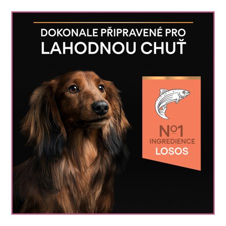 PRE PLAN Small & Mini Adult Sensitive Skin granule pre psov losos 7 kg