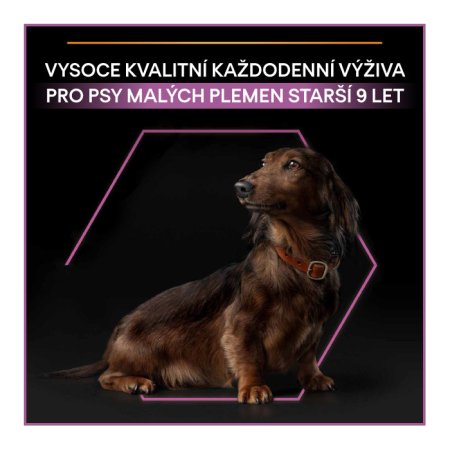 PRE PLAN Small & MiniI Adult 9+ Age Defence granule pre psov kura 3 kg