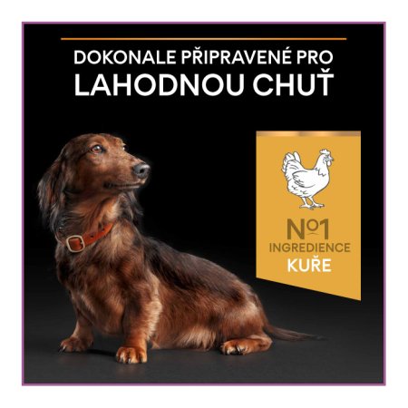 PRE PLAN Small & MiniI Adult 9+ Age Defence granule pre psov kura 3 kg