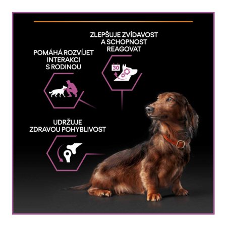 PRE PLAN Small & Mini Adult 9+ Age Defence granule pre psov kura 7 kg