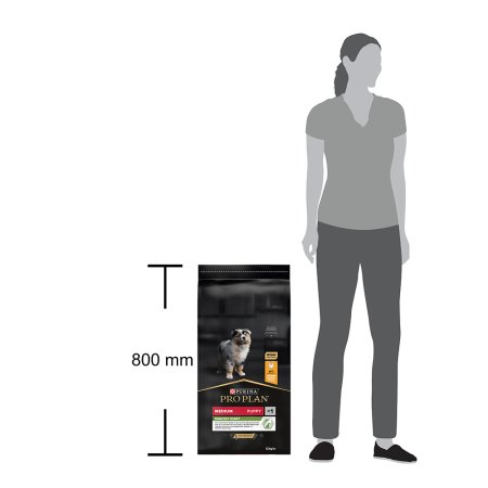 Pro Plan Medium Puppy kura 12 kg