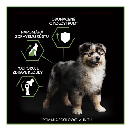 Pro Plan Medium Puppy kura 12 kg
