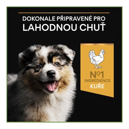 Pro Plan Medium Puppy kura 12 kg