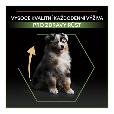 Pro Plan Medium Puppy kura 12 kg