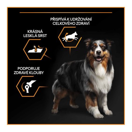 Pro Plan Medium Adult kura 14 kg