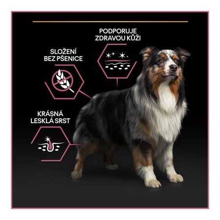 Pro Plan Medium Adult Sensitive Skin losos 14 kg