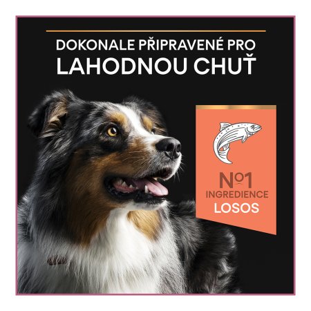 PRE PLAN Medium Adult Sensitive Skin granule pre psov losos 3 kg