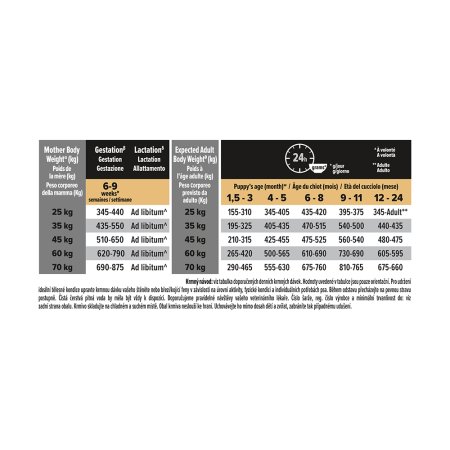 Pro Plan Large Puppy Robust kura 12 kg