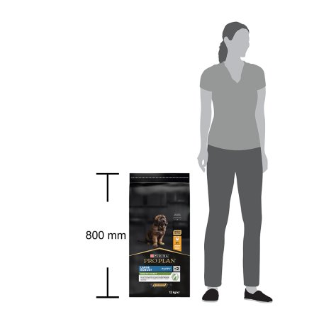 Pro Plan Large Puppy Robust kura 12 kg