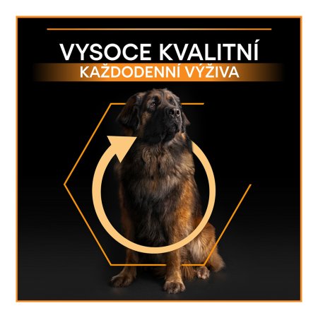 Pro Plan Large Adult Robust kura 14 kg