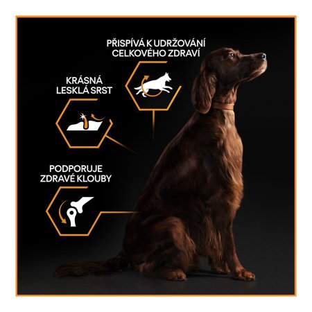 Pro Plan Large Adult Athletic kura 14 kg