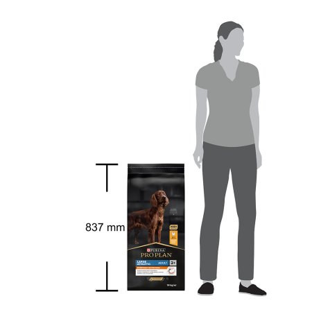 Pro Plan Large Adult Athletic kura 14 kg
