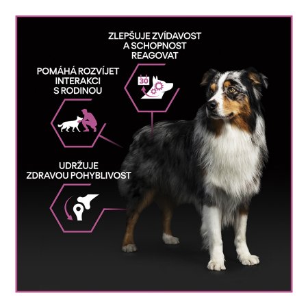 Pro Plan Medium & Large Adult 7+ kura 3 kg